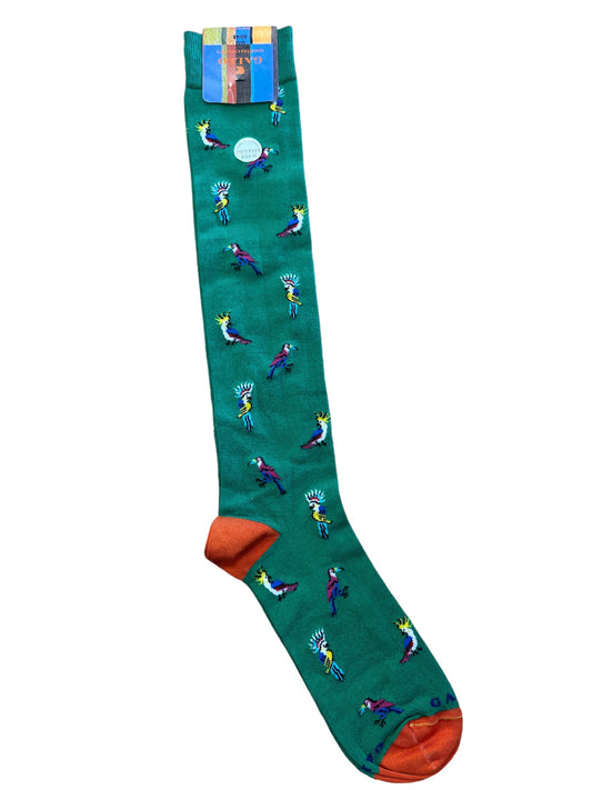 Long Rooster Sock AP512898